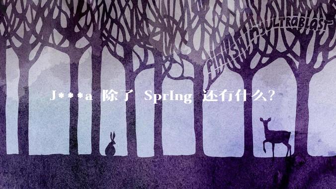 J***a 除了 Spring 还有什么？