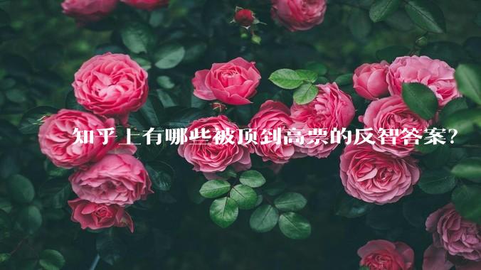 知乎上有哪些被顶到高票的反智答案？