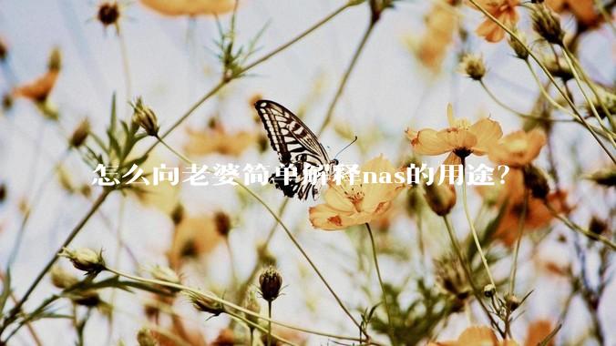 怎么向老婆简单解释nas的用途？