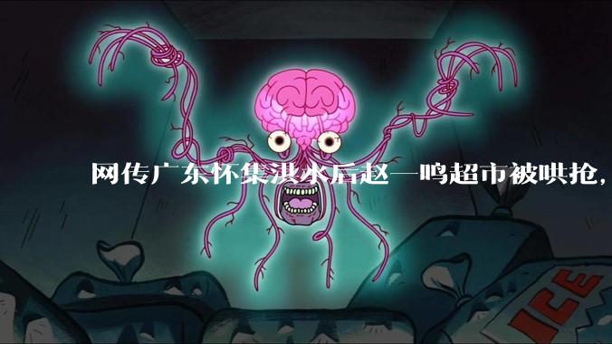 网传广东怀集洪水后赵一鸣超市被哄抢，县***回应相关单位正在核实，若属实哄抢者该承担哪些法律责任？